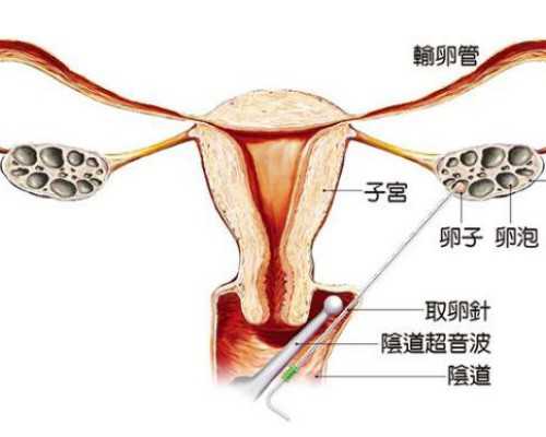 2024江苏省妇幼保健试管婴儿哪个生好？附最新生殖中心简介